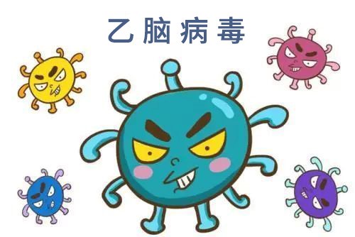 澳大利亚爆发乙型脑炎病毒,罪魁祸首居然是它.... 澳大利亚爆发乙型脑炎病毒,罪魁祸首居然是它....