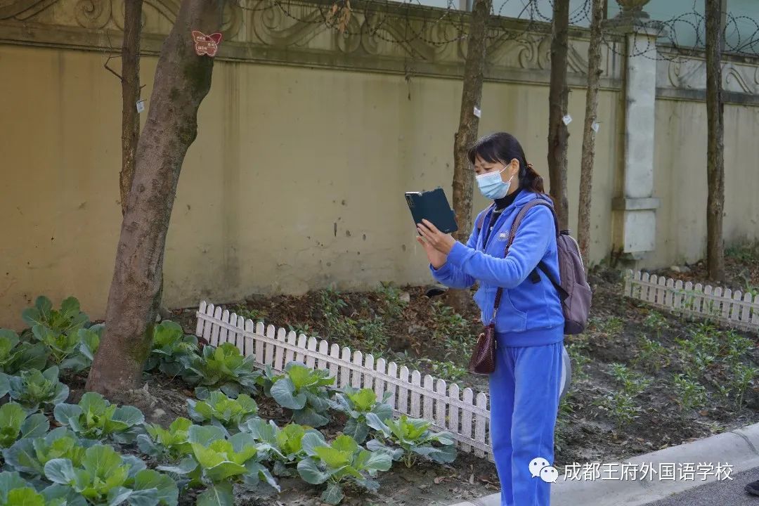 四月芳菲，春和景明——成都王府外国语学校召开四月校长早茶会