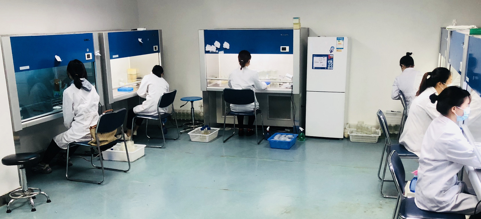 博瑞德邀您“审核”博瑞德实验室环境