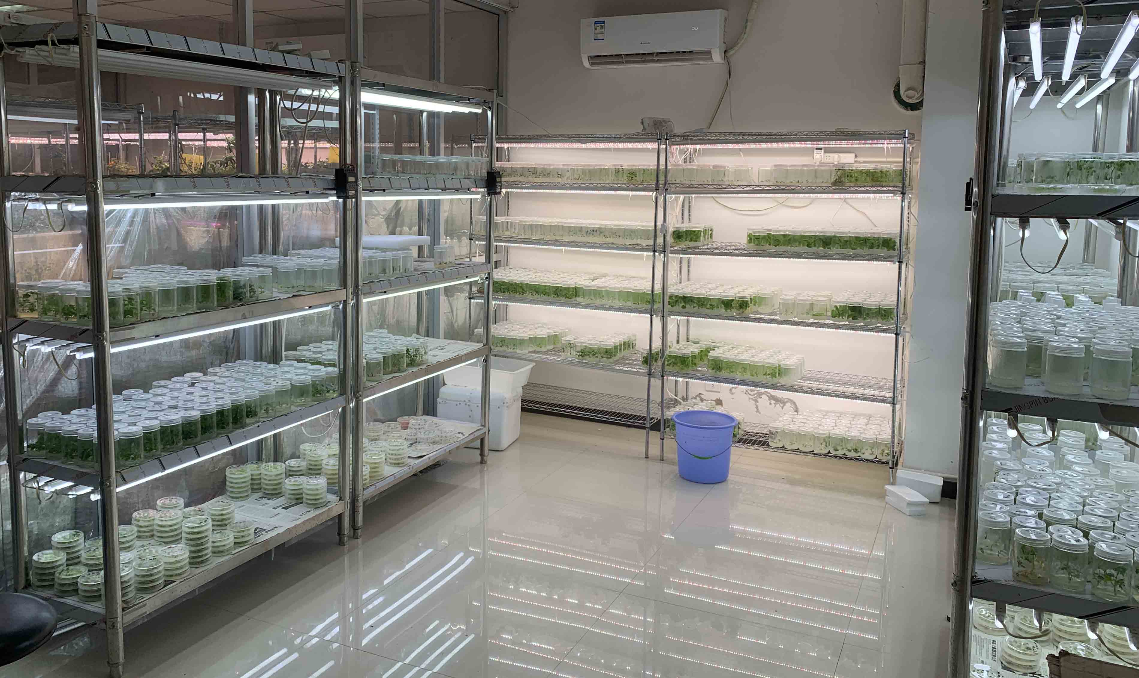 博瑞德邀您“审核”博瑞德实验室环境