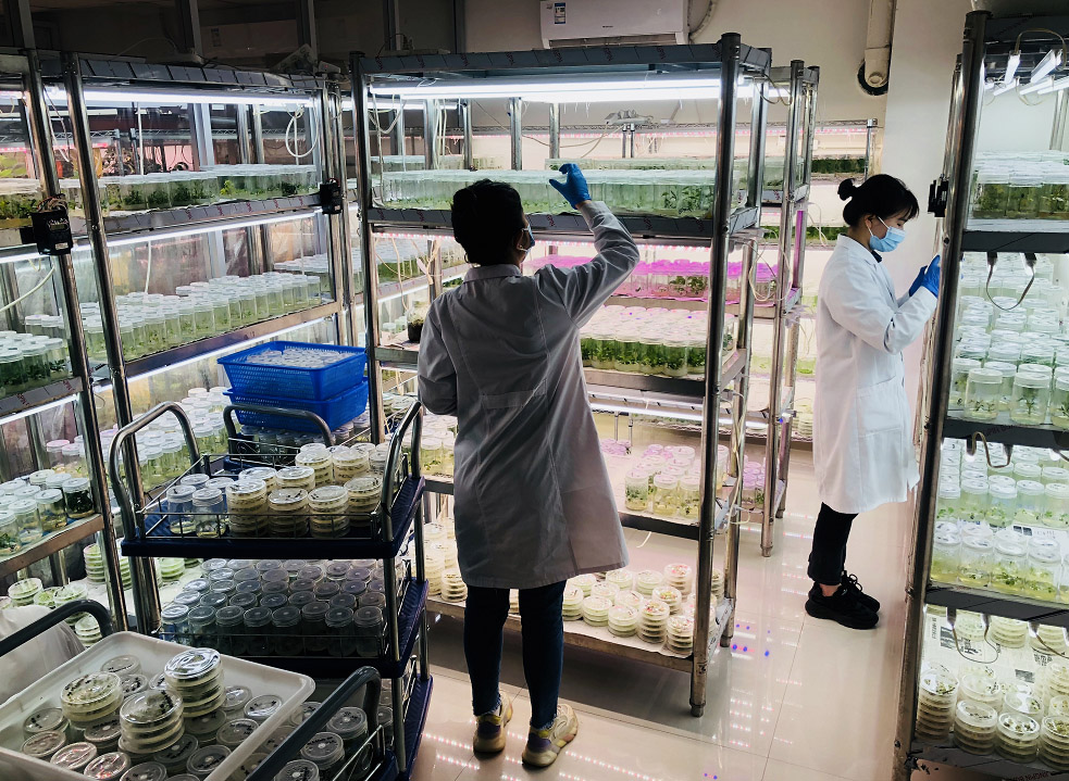 博瑞德邀您“审核”博瑞德实验室环境