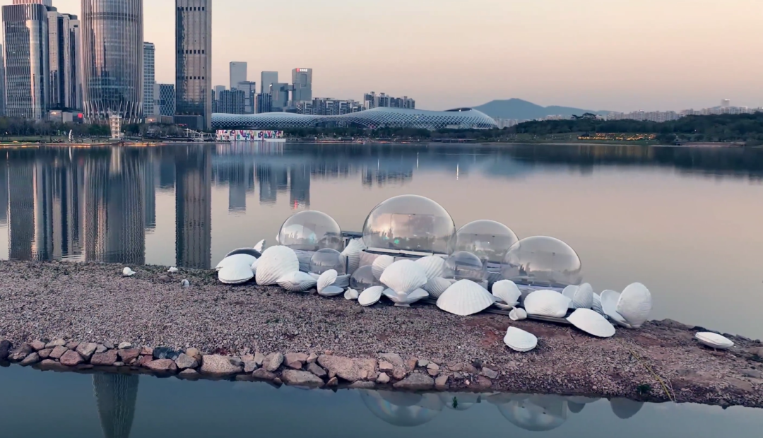 艺术拥抱技术|铭濠科技助力2021深圳光影艺术季荣获金奖