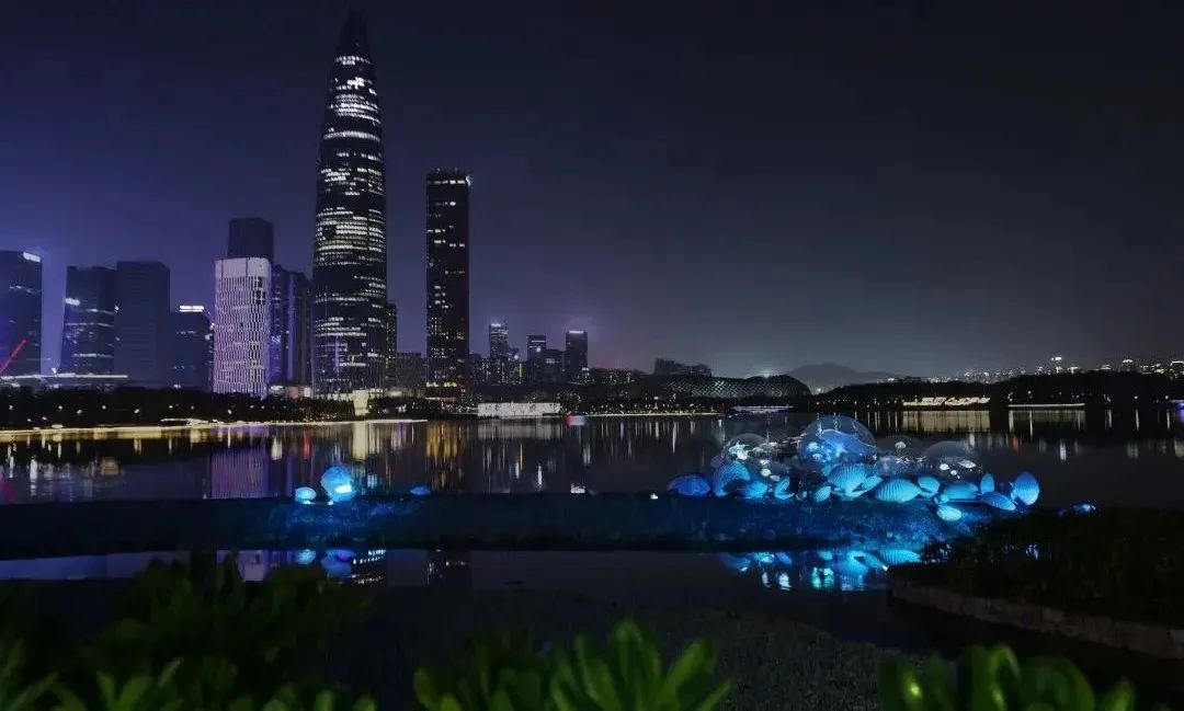 艺术拥抱技术|铭濠科技助力2021深圳光影艺术季荣获金奖