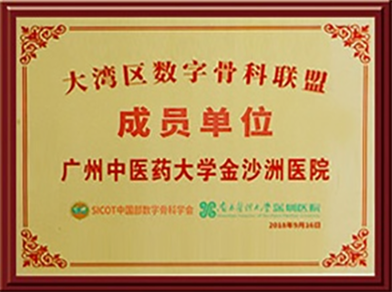 大湾区数字骨科联盟成员单位