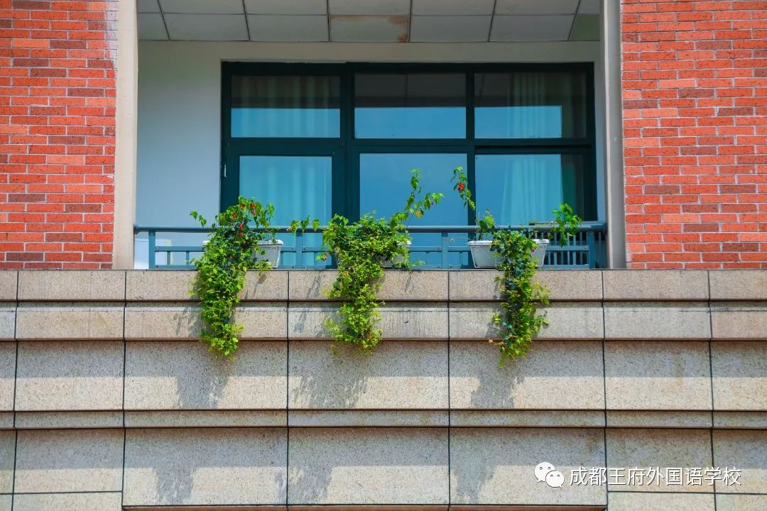 春光烂漫翠荫红，王府最美四月天 | 一所花园学校，给你好看