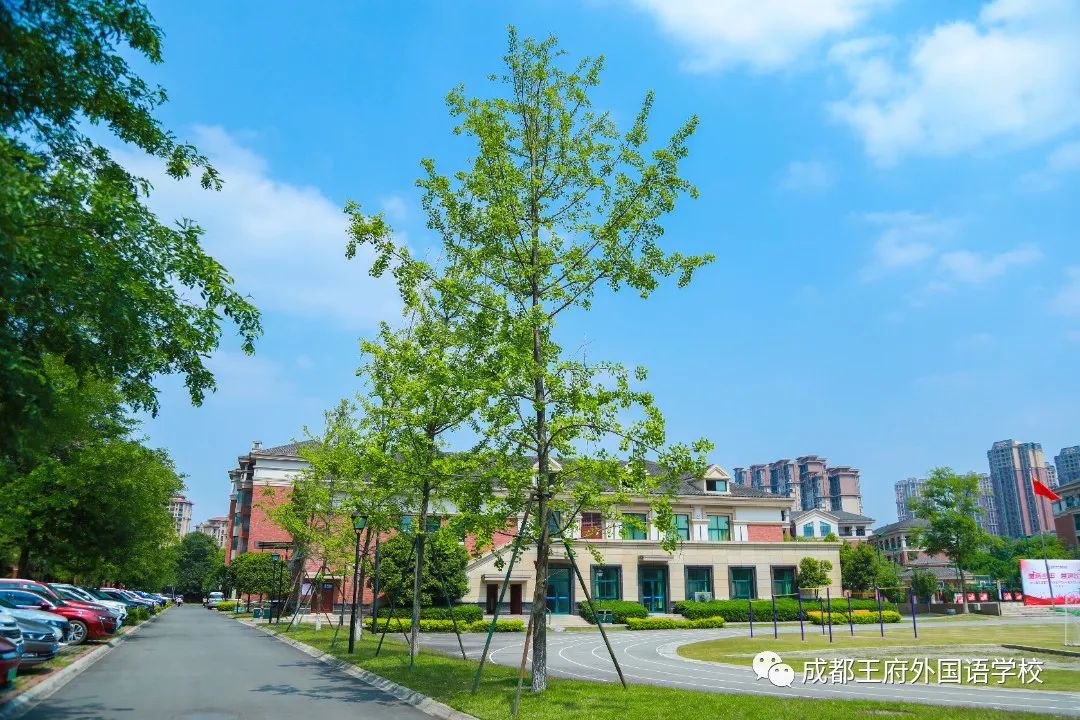 春光烂漫翠荫红，王府最美四月天 | 一所花园学校，给你好看