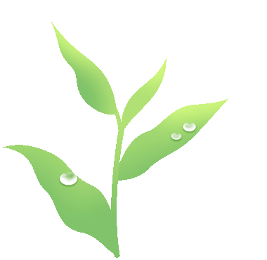 春光烂漫翠荫红，王府最美四月天 | 一所花园学校，给你好看