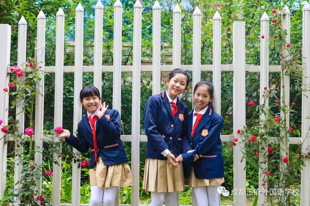 春光烂漫翠荫红，王府最美四月天 | 一所花园学校，给你好看