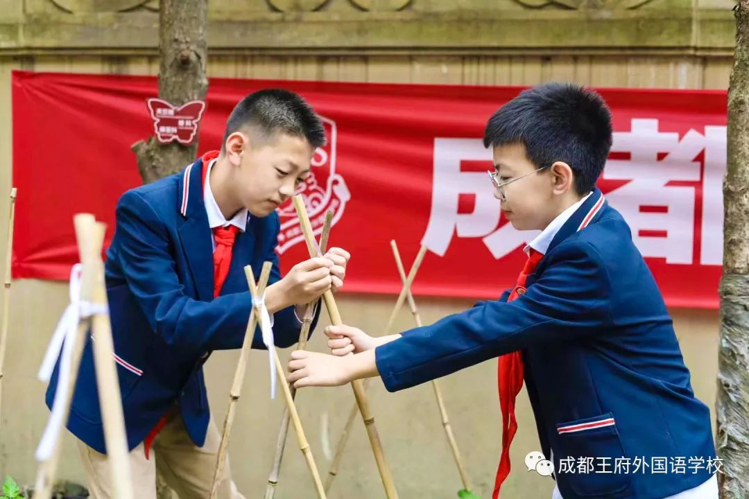 春光烂漫翠荫红，王府最美四月天 | 一所花园学校，给你好看