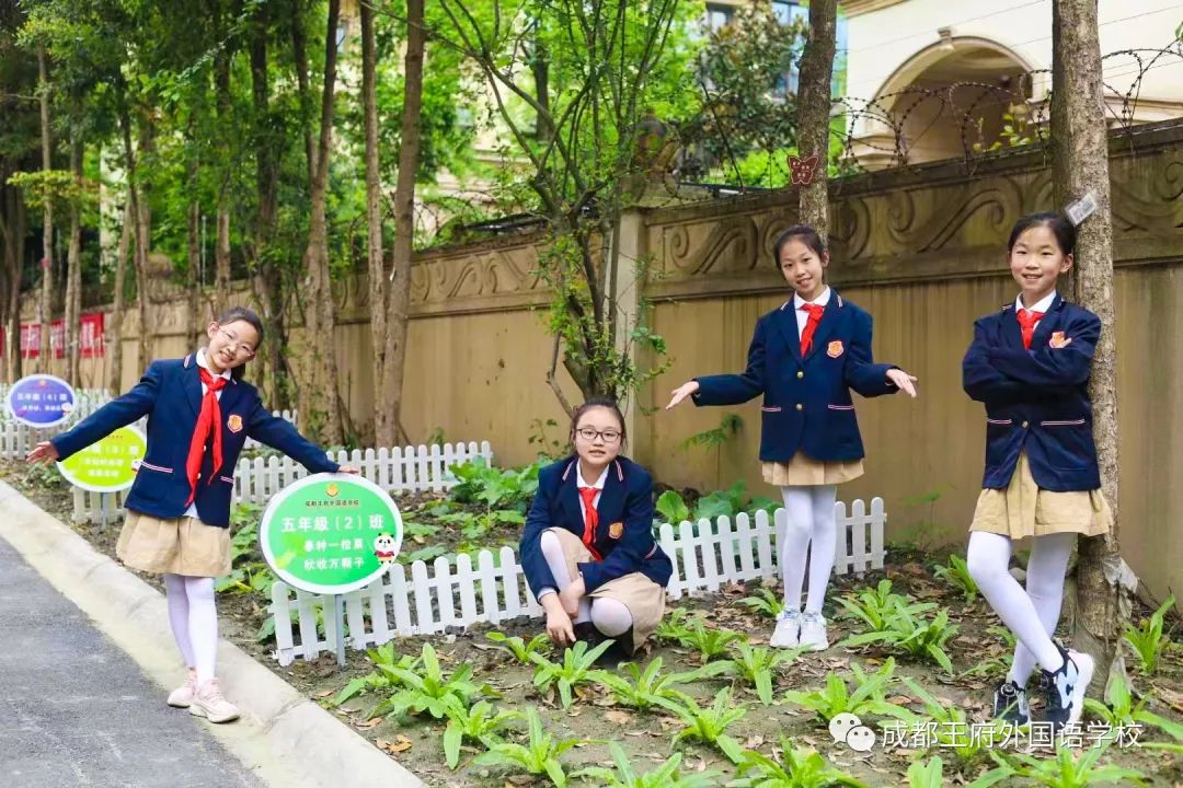 春光烂漫翠荫红，王府最美四月天 | 一所花园学校，给你好看