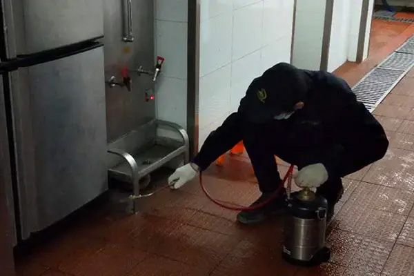 酒店遭受蟑螂侵害怎么办?酒店该如何防治蟑螂? 酒店遭受蟑螂侵害怎么办?酒店该如何防治蟑螂?