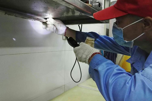 CPCO中虫协:食品厂遭受蟑螂侵害该怎么办? CPCO中虫协:食品厂遭受蟑螂侵害该怎么办?
