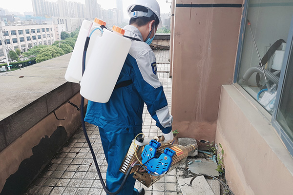 灭鼠资质办理:老鼠的日常防范举措有哪些? 灭鼠资质办理:老鼠的日常防范举措有哪些?