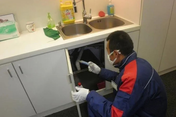 有害生物防制:厨房出现很多蟑螂该怎么办? 有害生物防制:厨房出现很多蟑螂该怎么办?