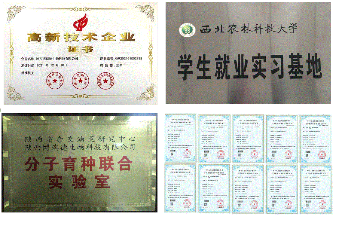 公司简介