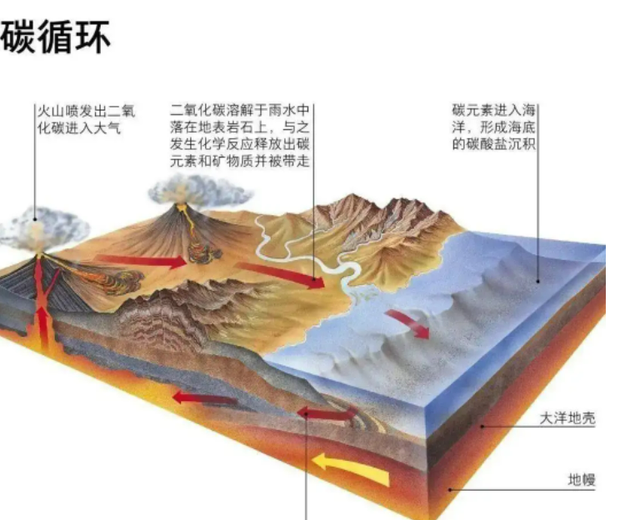 交配时1对乌龟惨变化石,最尴尬的是,4700万年后还得被人围观 交配时1对乌龟惨变化石,最尴尬的是,4700万年后还得被人围观