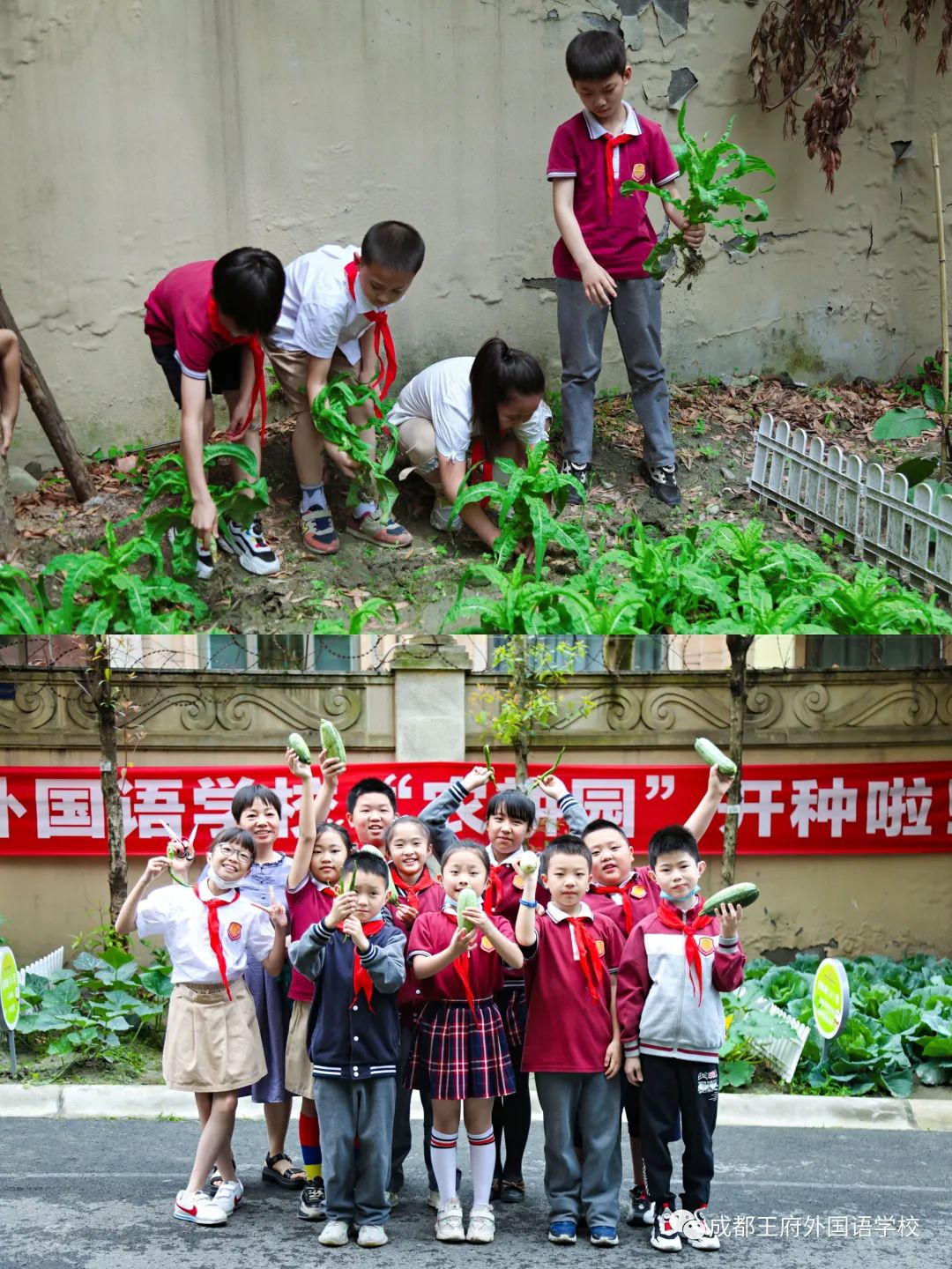 来了！成都王府云上周刊