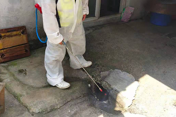 教你几招简单又方便的防鼠小技巧 教你几招简单又方便的防鼠小技巧