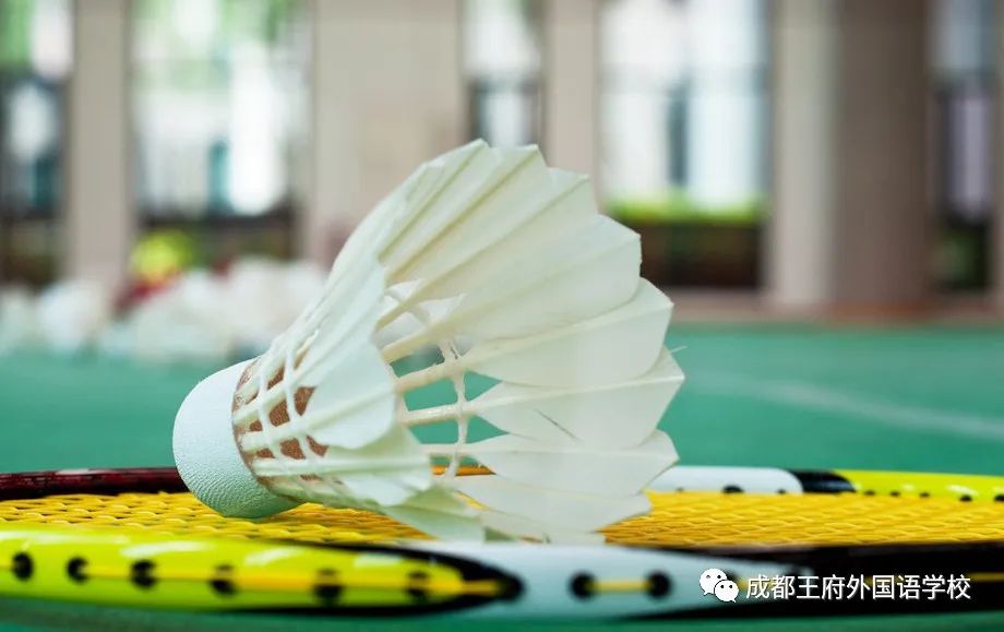 无“羽”伦比，谁“羽”争锋——成都王府开展第二届“园丁杯”教职工羽毛球比赛
