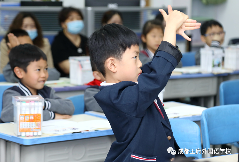 初夏蔷薇飘香，王府少年成长——成都王府小学部家长开放日