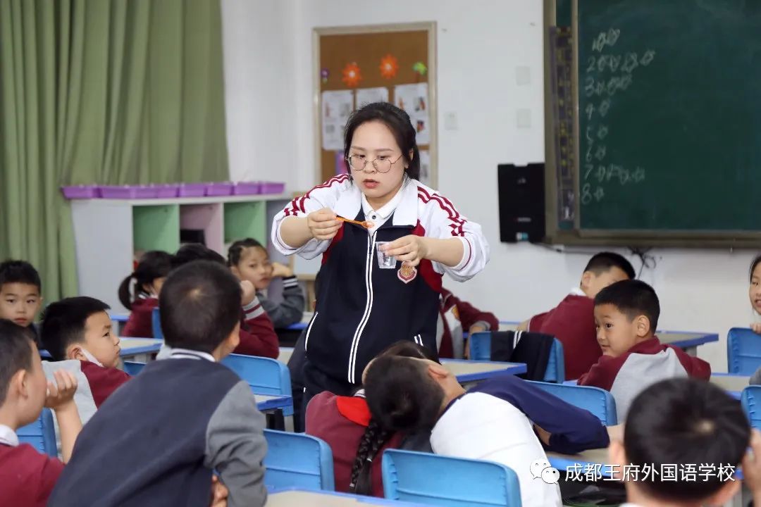 初夏蔷薇飘香，王府少年成长——成都王府小学部家长开放日