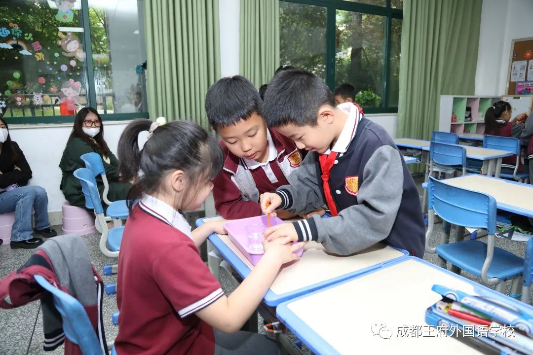初夏蔷薇飘香，王府少年成长——成都王府小学部家长开放日
