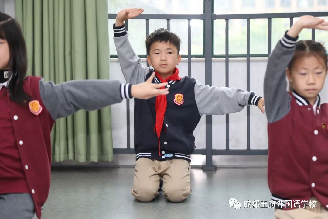 初夏蔷薇飘香，王府少年成长——成都王府小学部家长开放日