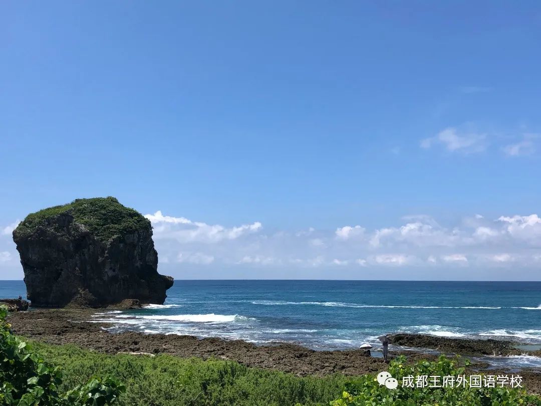 寻找我眼中的美——成都王府首届教职工摄影大赛获奖作品展