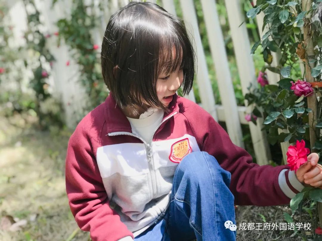 寻找我眼中的美——成都王府首届教职工摄影大赛获奖作品展