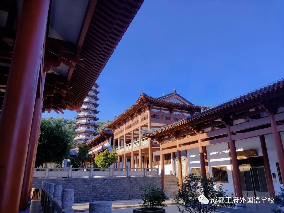 寻找我眼中的美——成都王府首届教职工摄影大赛获奖作品展