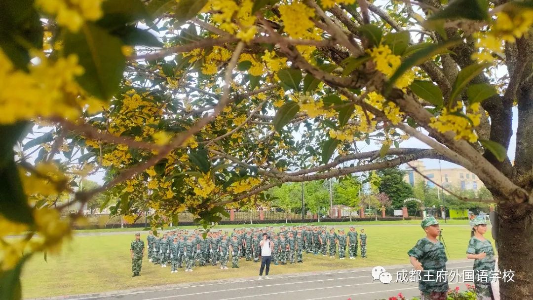 寻找我眼中的美——成都王府首届教职工摄影大赛获奖作品展