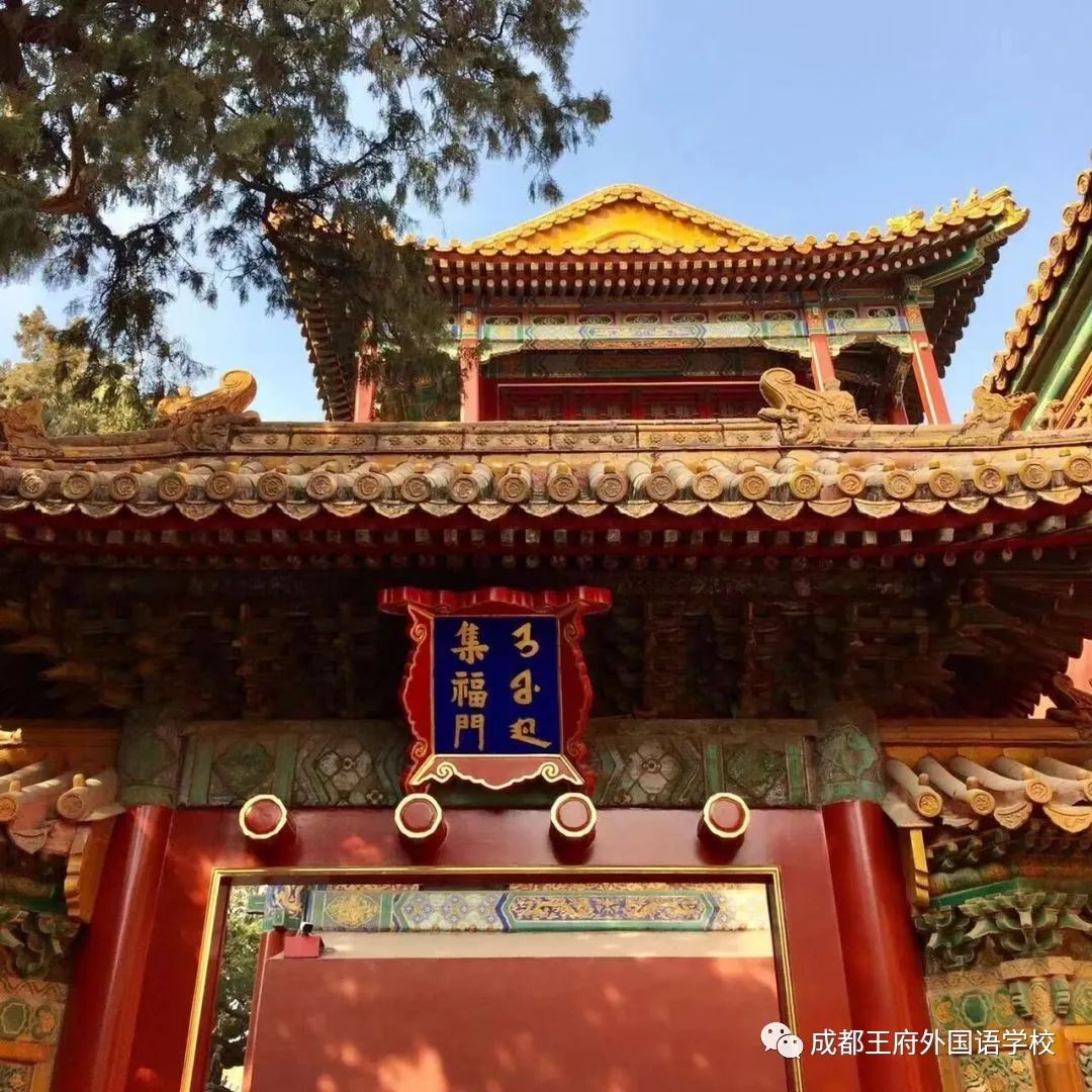 寻找我眼中的美——成都王府首届教职工摄影大赛获奖作品展