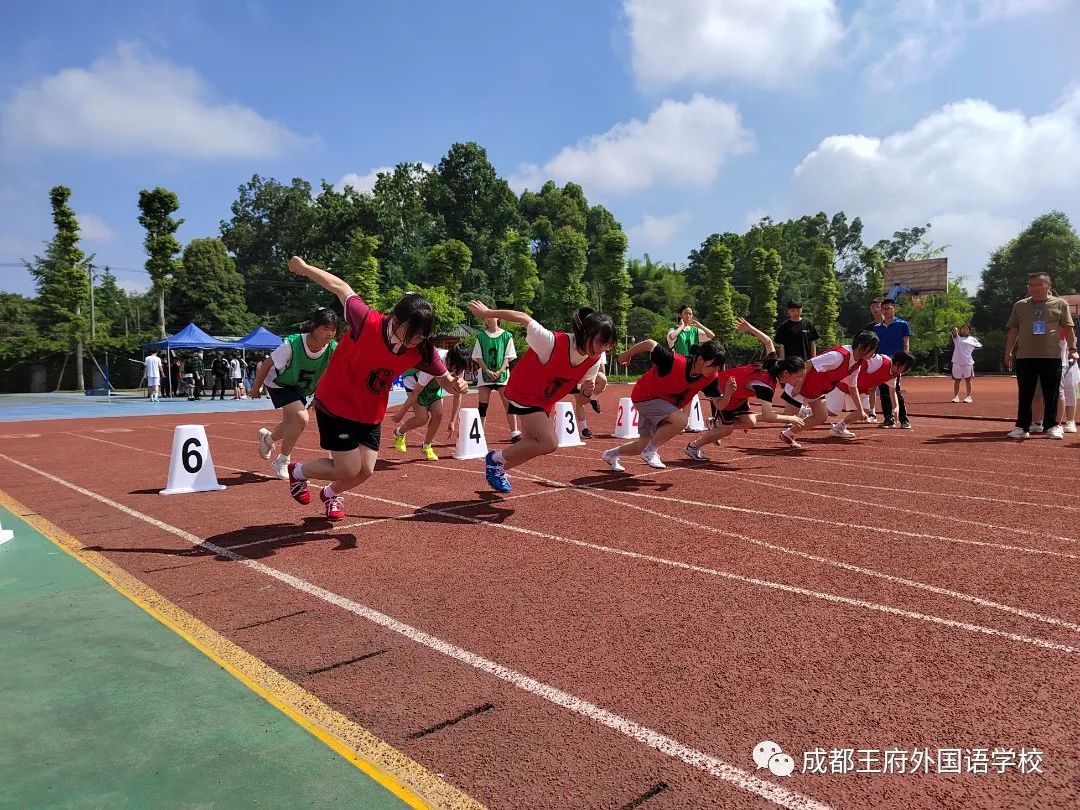 喜讯|成都王府参加成都市温江区第十一届中小学生综合运动会田径比赛喜获佳绩