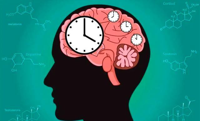 为证明时间不存在,科学家让一女性在洞穴住了130天,结果如何 为证明时间不存在,科学家让一女性在洞穴住了130天,结果如何