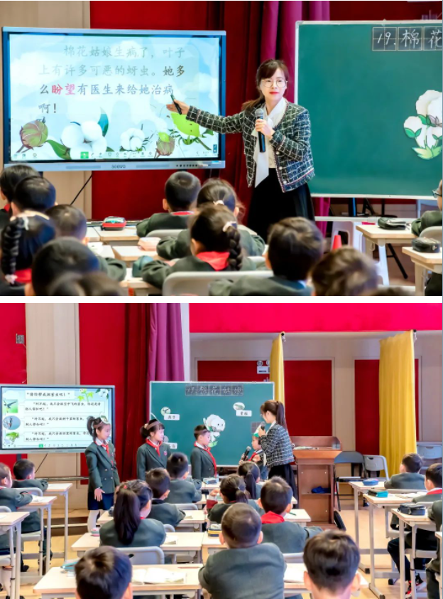 唯有深耕,方能精进——小学部第三届“蓝花楹”杯青年教师教学大赛 唯有深耕,方能精进——小学部第三届“蓝花楹”杯青年教师教学大赛