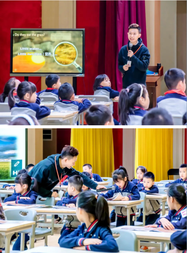 唯有深耕,方能精进——小学部第三届“蓝花楹”杯青年教师教学大赛 唯有深耕,方能精进——小学部第三届“蓝花楹”杯青年教师教学大赛