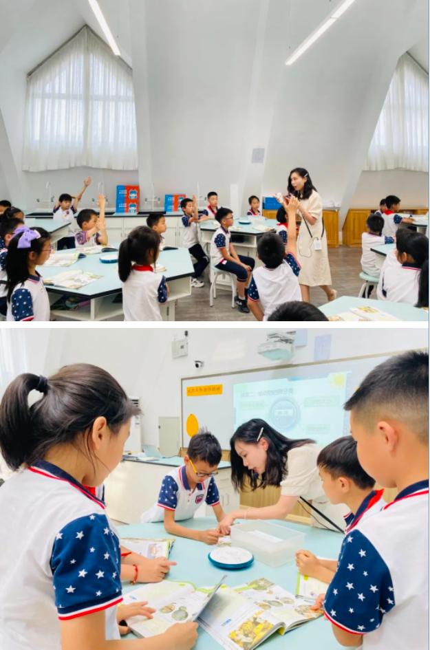 唯有深耕,方能精进——小学部第三届“蓝花楹”杯青年教师教学大赛 唯有深耕,方能精进——小学部第三届“蓝花楹”杯青年教师教学大赛