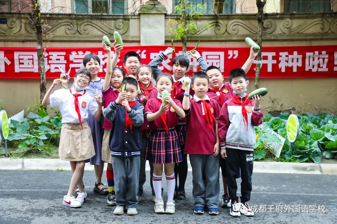 亲爱的家长，请您查收5月校长来信
