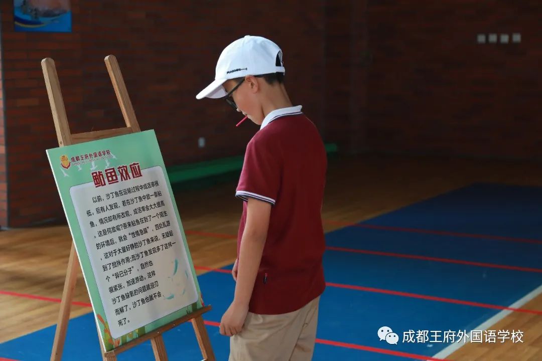 美好生活 快乐前行——成都王府小学部开展“心”美好·“心”生活心理健康主题活动