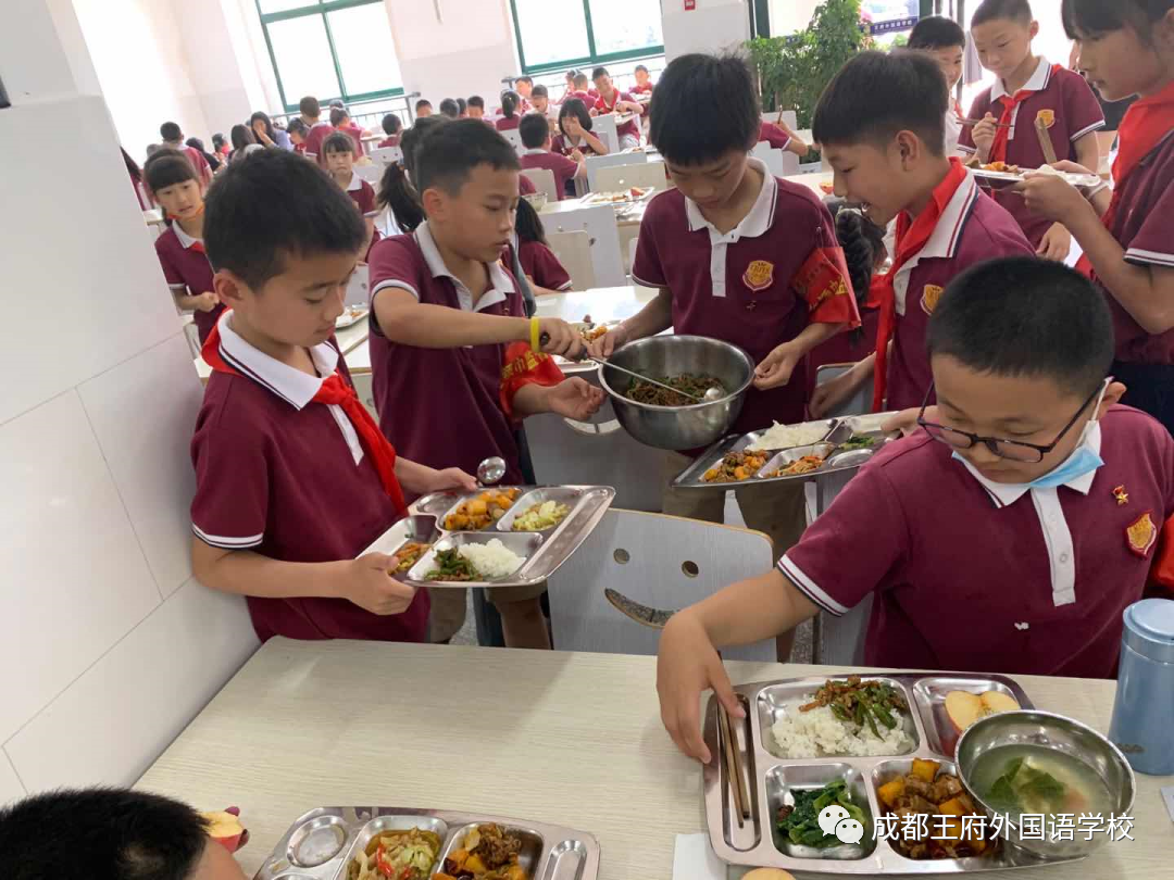 劳动教育课程 | 王府万象“耕”新，学生收获满满