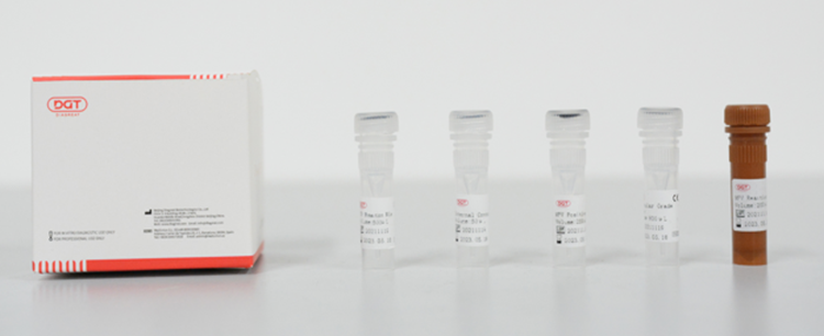 Monkeypox Virus Fluorescence PCR Kit 