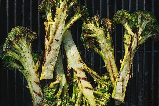 哥大生物博士震撼揭秘:想年轻必须向水母学习,西蓝花是温和毒药 哥大生物博士震撼揭秘:想年轻必须向水母学习,西蓝花是温和毒药