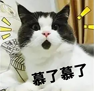 施罗德爱心基金丨让爱传递，温暖你我