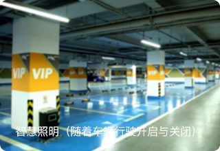 VIP车位引导