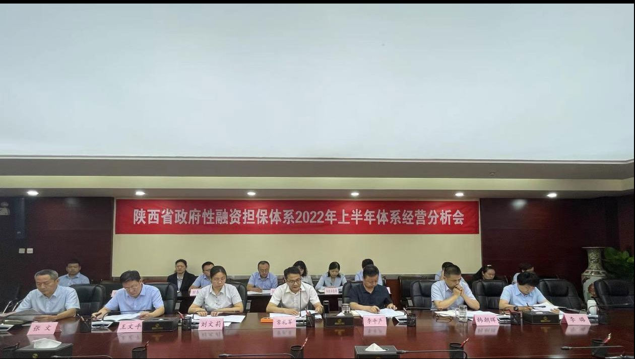 省再担保公司召开2022年上半年体系运营分析会 省再担保公司召开2022年上半年体系运营分析会