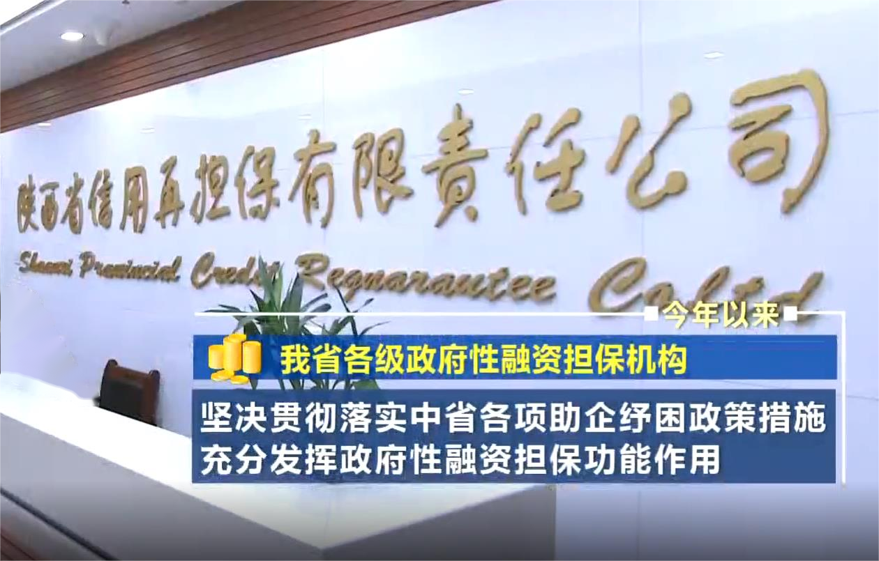 公司介绍 公司介绍