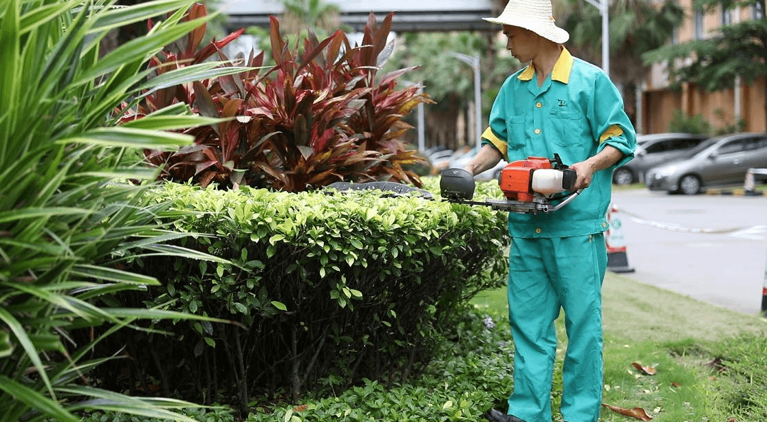 深圳竹子林