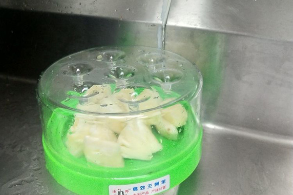 夏天厨房苍蝇太多怎么办,如何才能消灭它们? 夏天厨房苍蝇太多怎么办,如何才能消灭它们?