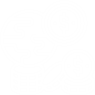 林業(yè)碳匯開發(fā)