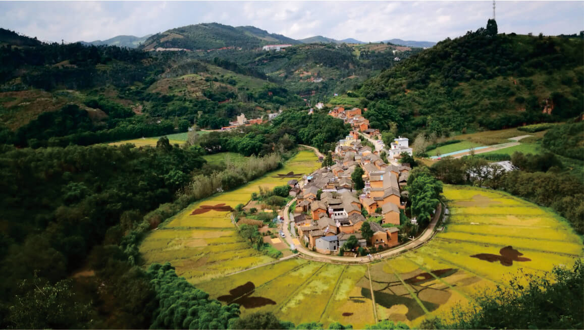 林業(yè)碳匯開發(fā)